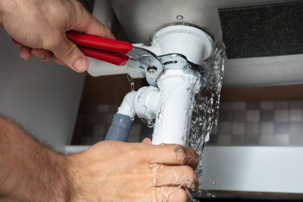 Best Residential water damage restoration  in Onsted, MI