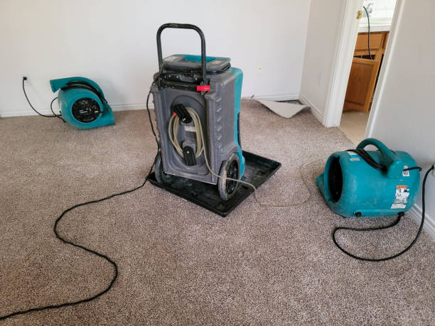 Best Basement water damage restoration  in Onsted, MI