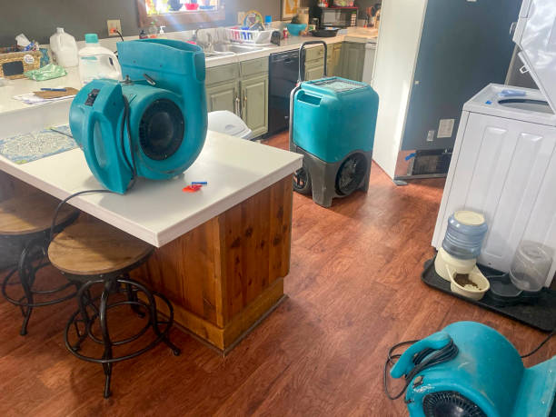 Best Fire Damage Restoration  in Onsted, MI
