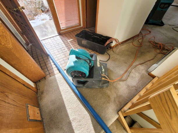 Best Flood damage cleanup  in Onsted, MI