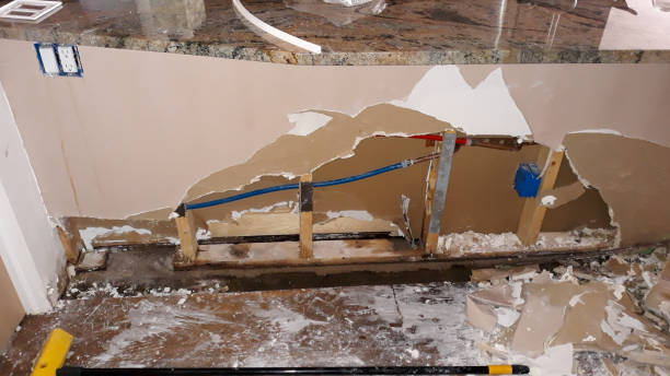 Best Fire Damage Restoration  in Onsted, MI