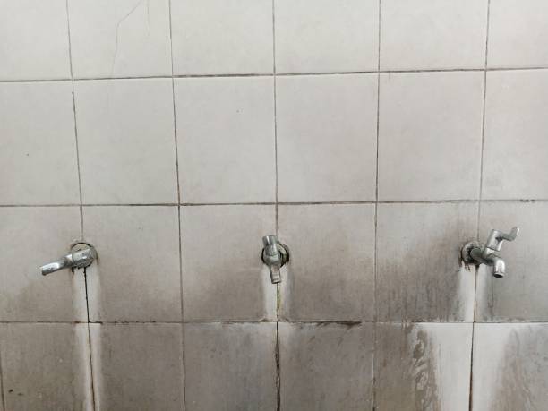 Onsted, MI Water damage restoration Company