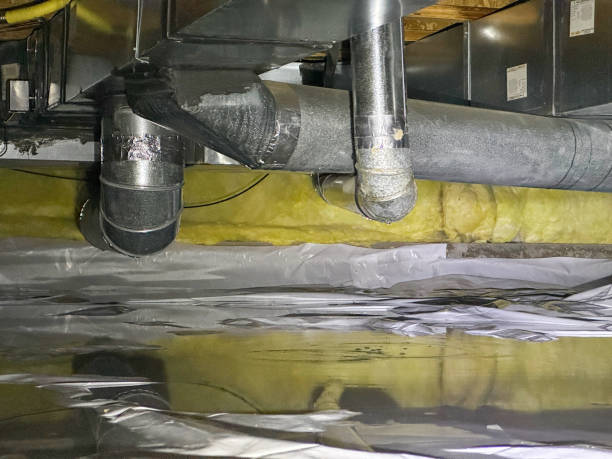 Best Water damage restoration company  in Onsted, MI