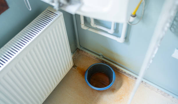 Best Residential water damage restoration  in Onsted, MI