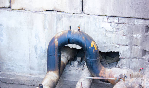 Best Mold removal after water damage  in Onsted, MI