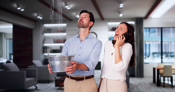 Sewage cleanup and water damage restoration in Onsted, MI