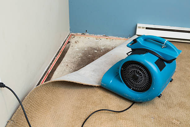 Water damage restoration mold remediation in Onsted, MI
